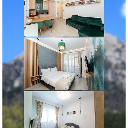 BuşteniCross Caraiman View 1公寓 外观 照片