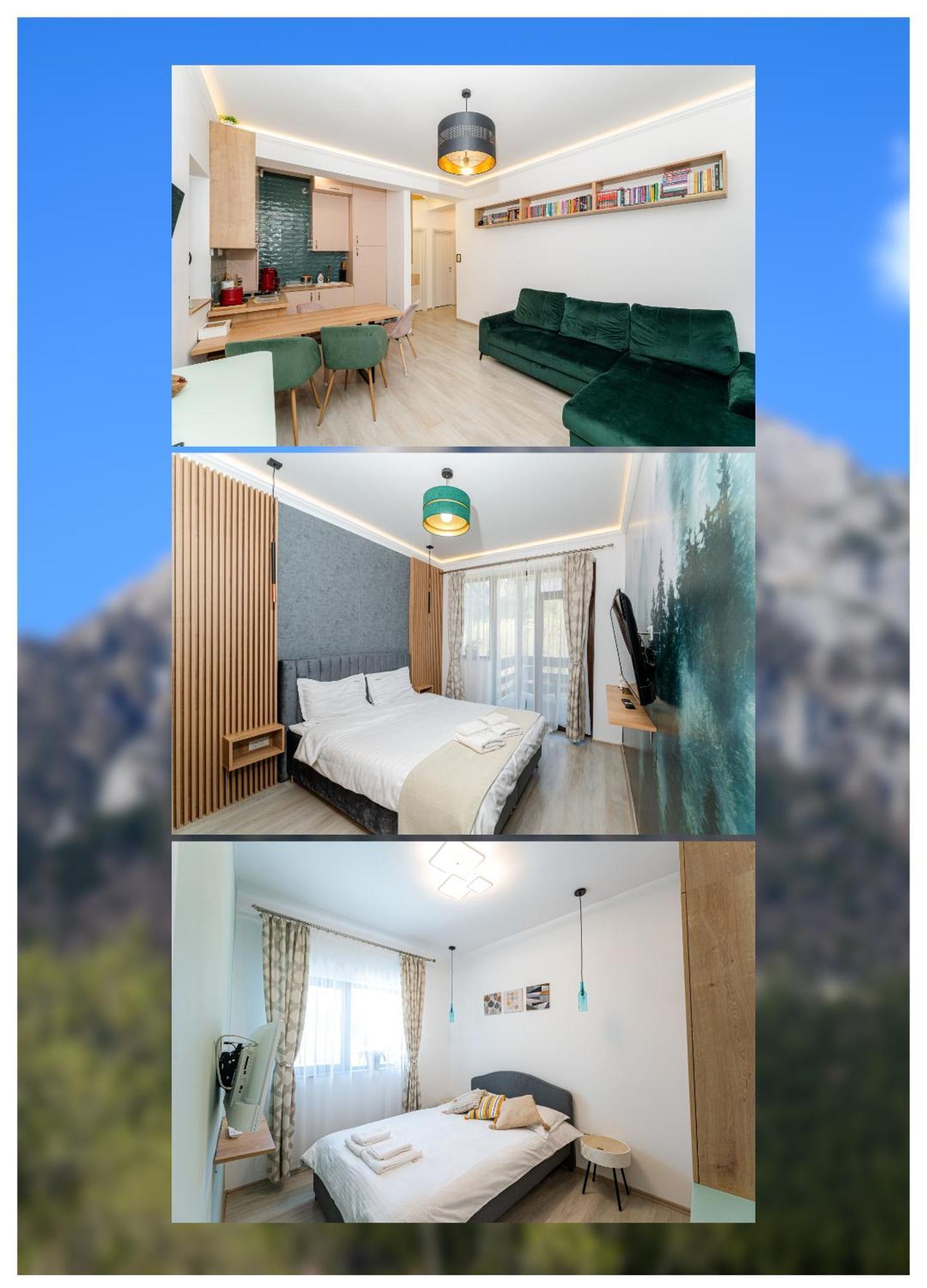 BuşteniCross Caraiman View 1公寓 外观 照片