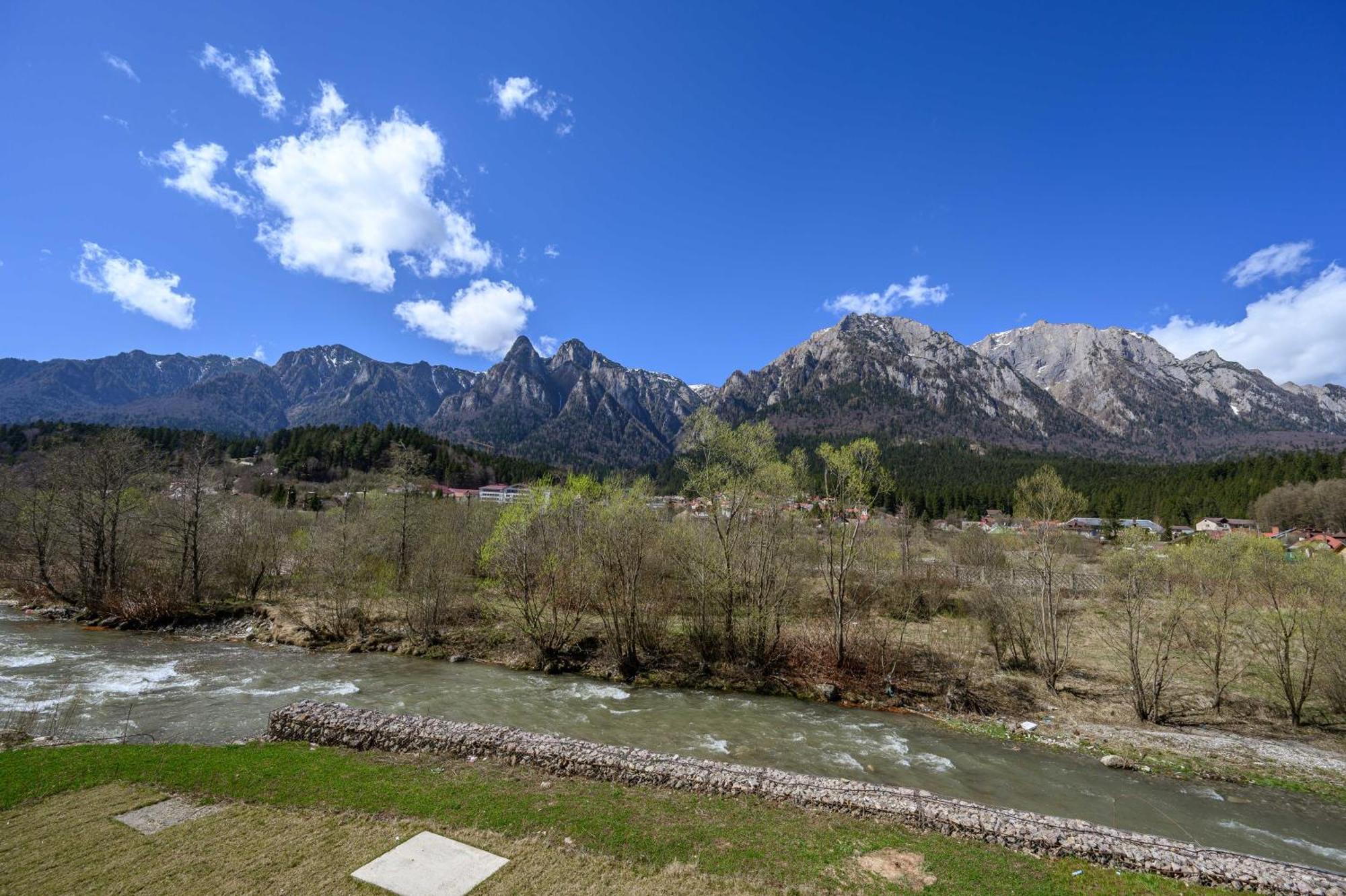 BuşteniCross Caraiman View 1公寓 外观 照片